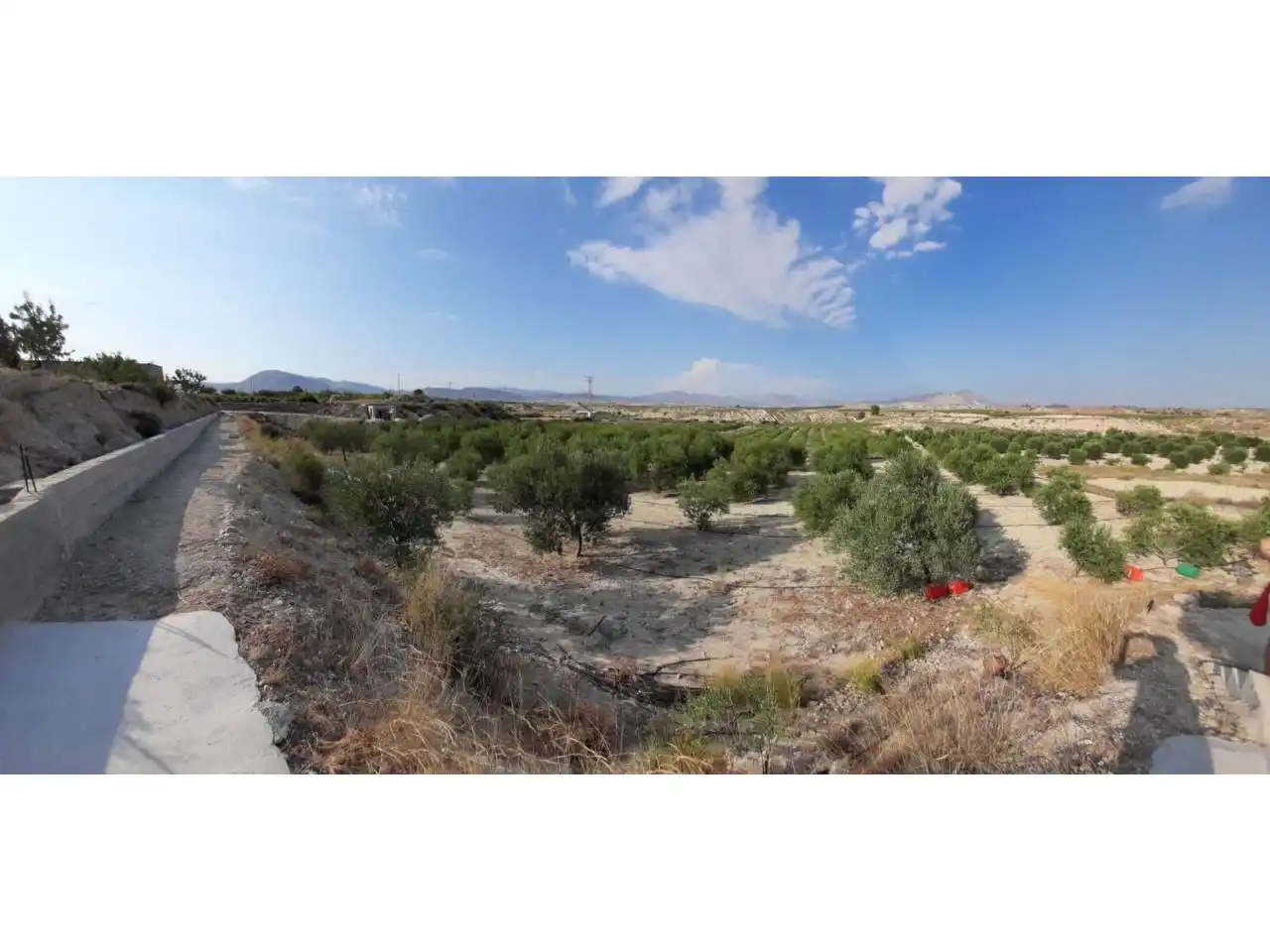 Rural land for sale in Calle MAYOR, imagen 9