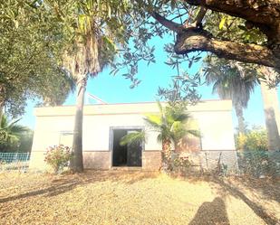 Vista exterior de Casa o xalet en venda en Alcolea del Río amb Terrassa