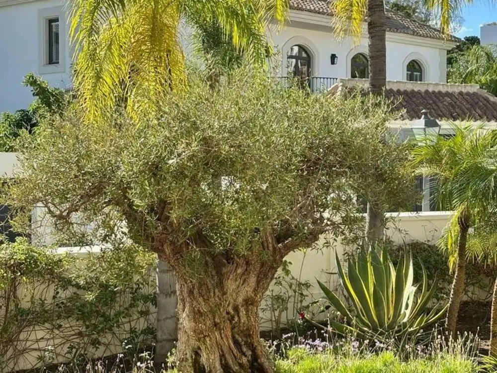 Haus mit Terrasse zur Miete in La Quinta, imagen 26