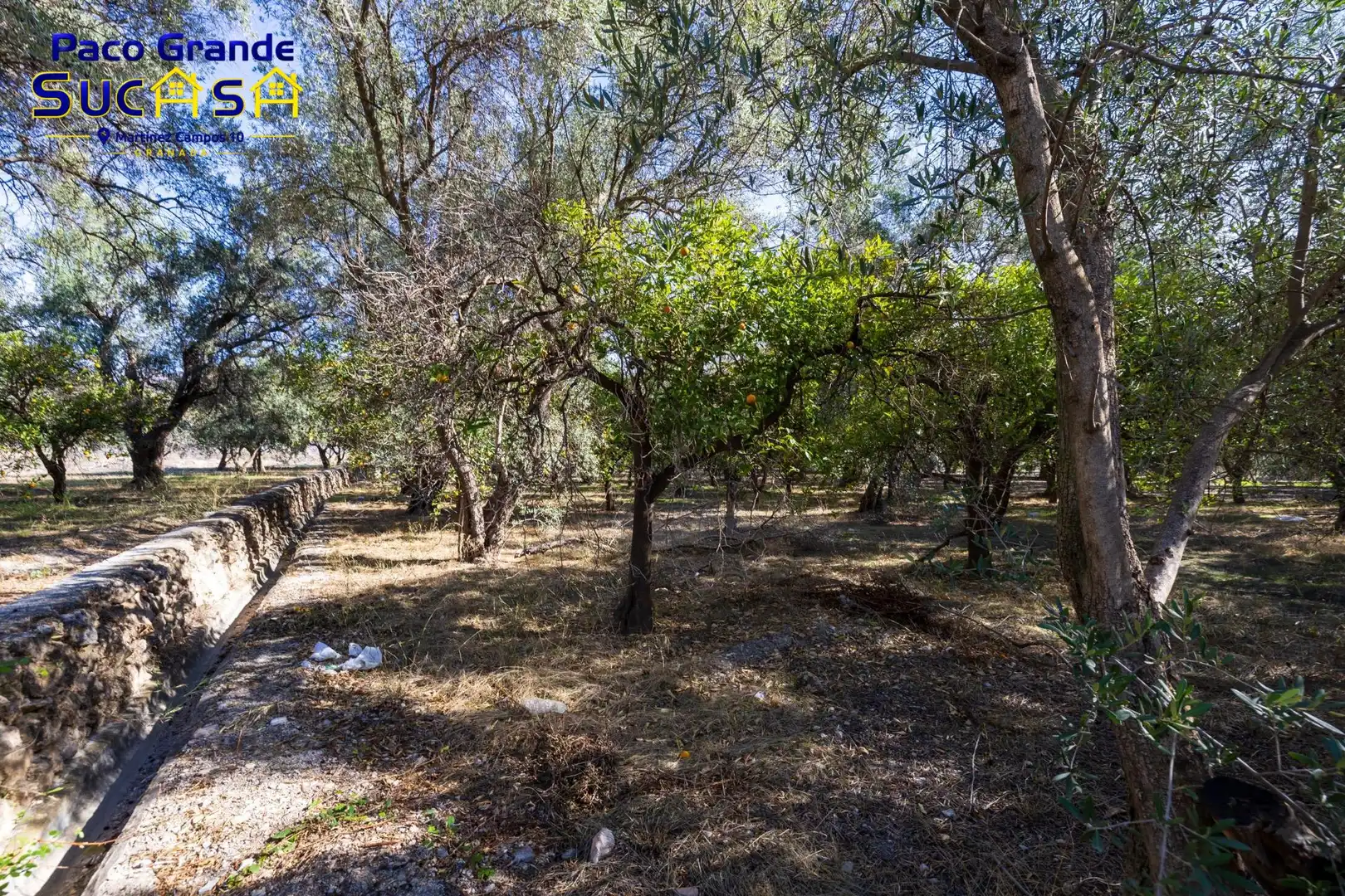 Terreno rustico in vendita a PINOS DEL VALLE, imagen 8