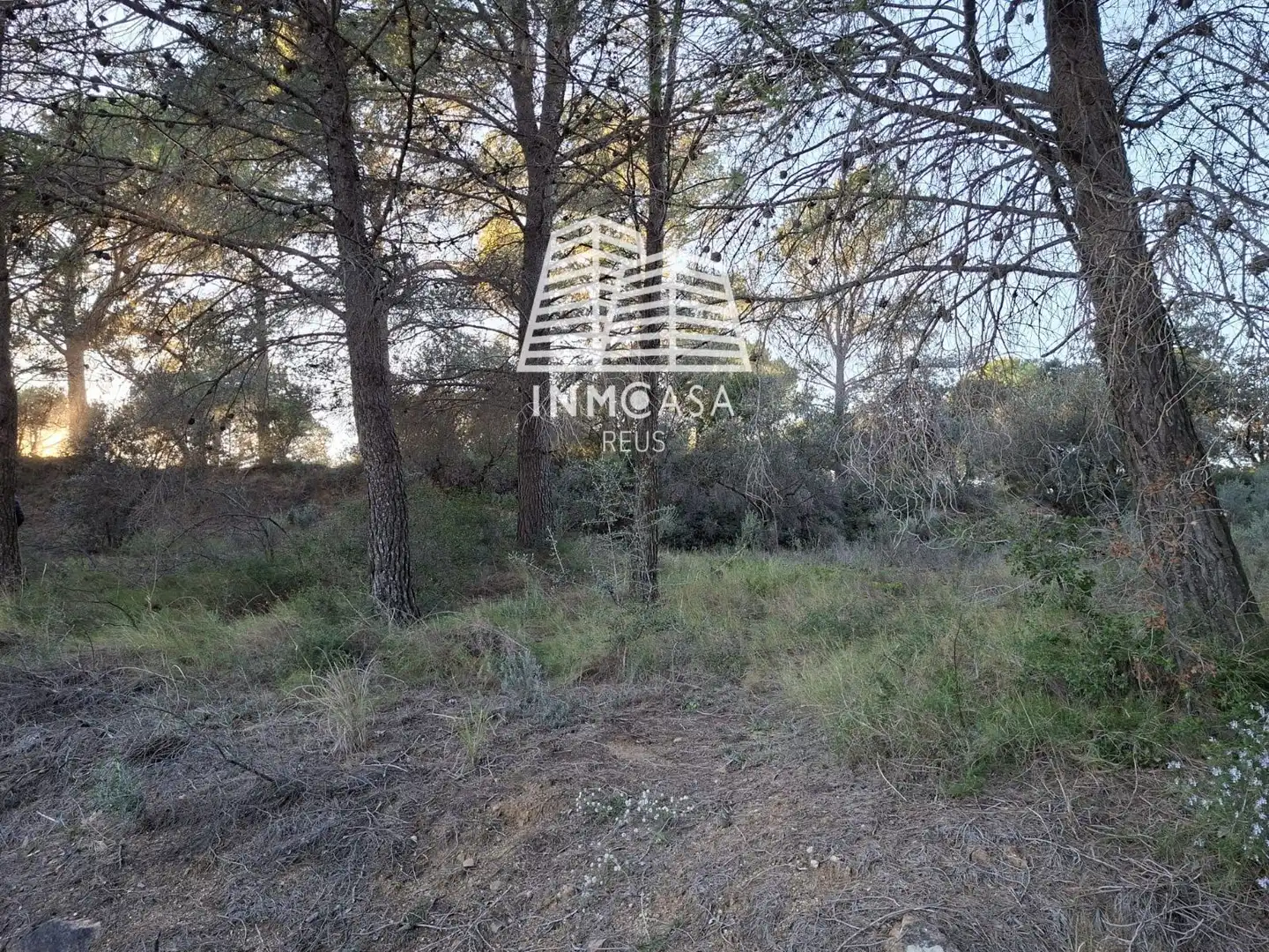 Land for sale in Les Borges del Camp