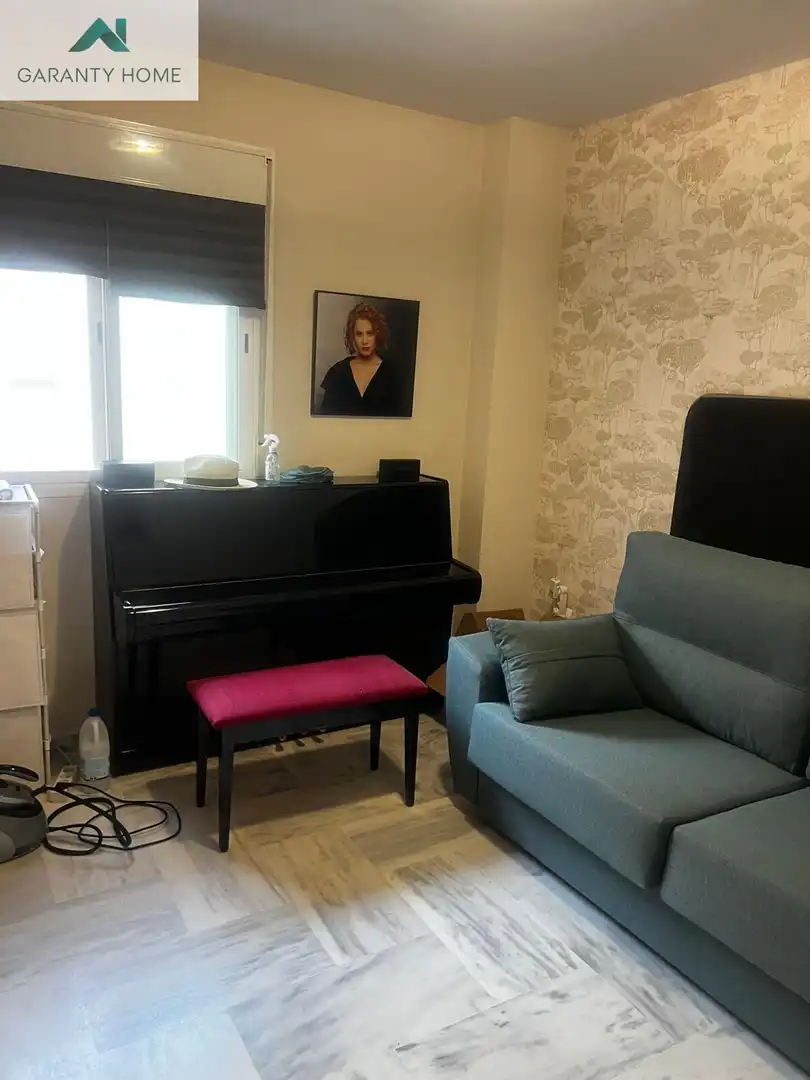 Penthouse with pool for sale in Avenida Avenida Pintores, imagen 21