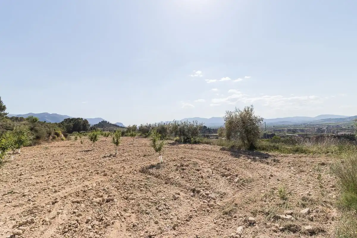 Terrenos y solares en venta en Pliego