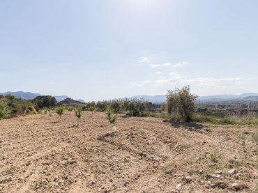 Terrenos y solares en venta en Pliego