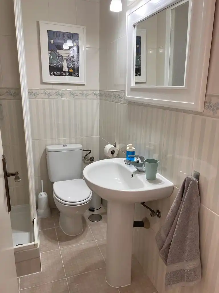 Wohnung mit Pool zur Miete in Calle las Naciones 3, imagen 4