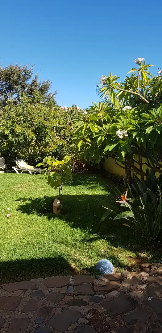 Garden of Houses for sale in San Cristóbal de la Laguna  with Private garden, Parquet flooring and Terrace
