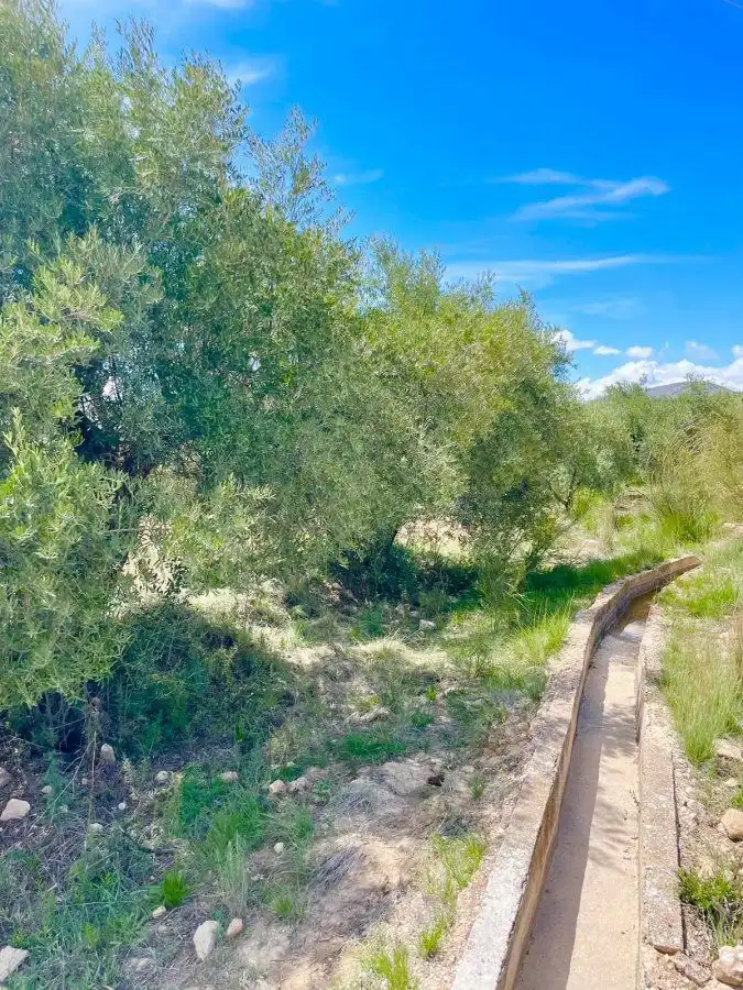 Terrenos y solares en venta en Vélez-Blanco, imagen 3