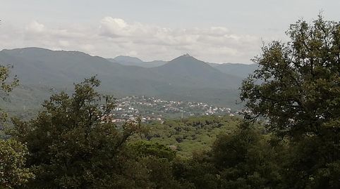 Immagine 5 dell'annuncio
