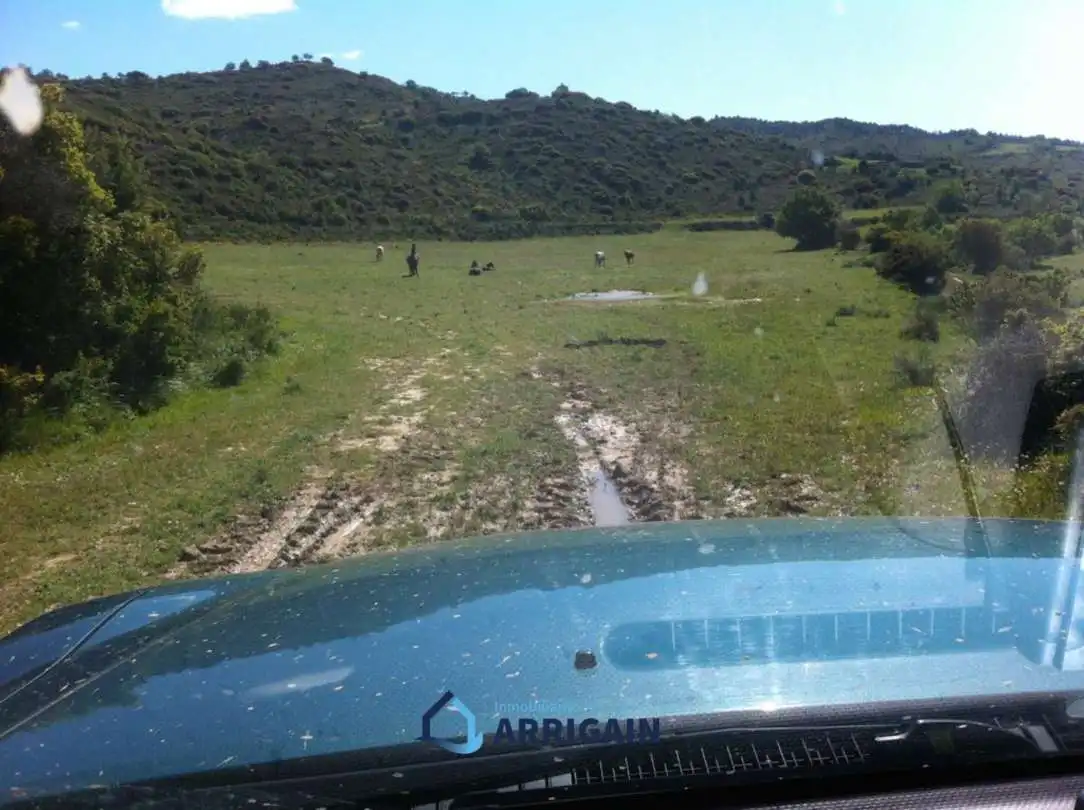 Casa o chalet en venta en La Moraleja con Jardín privado