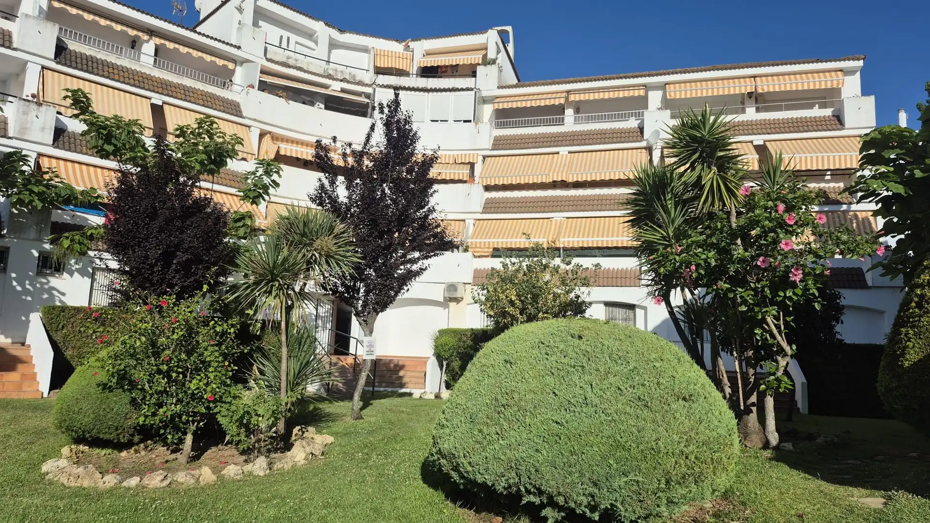 Exterior view of Flat for sale in El Portil  with Terrace