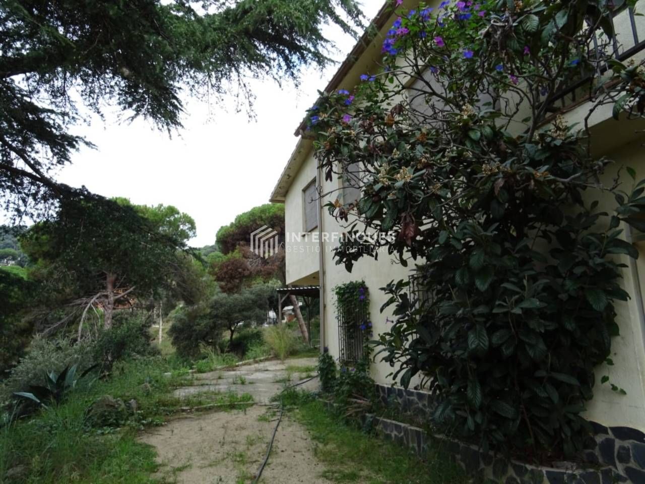 Casa o xalet en venda a Calle Vallromanes