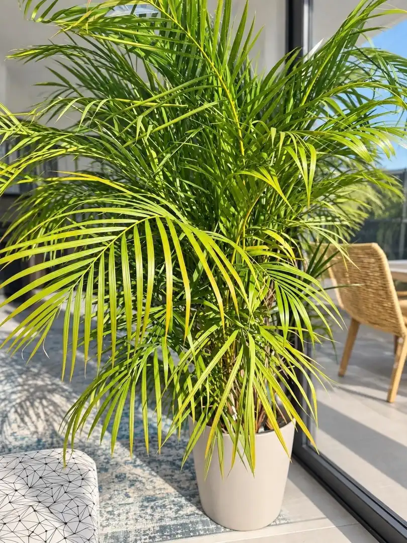 Villa avec piscine à vendre à Sariegos, imagen 16