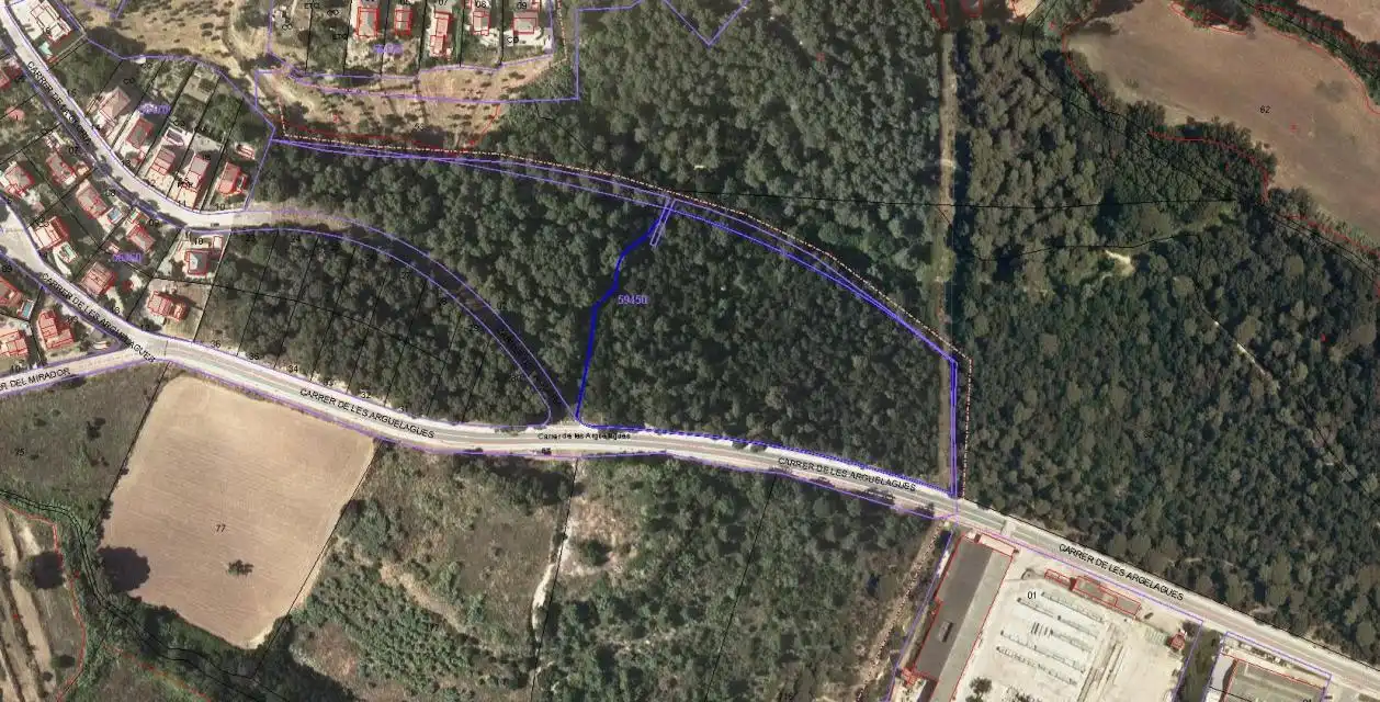 Terrain rustique à vendre à ARGELAGUES (LES), imagen 8