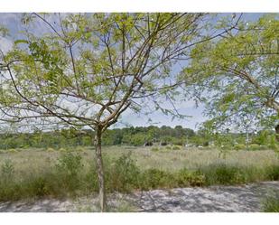 Land for sale in Sabadell