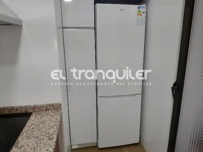 Flat for rent in Madrid, Madrid