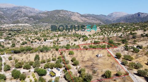 Exclusiva finca rústica con proyecto y licencia en Moscari, Selva, immagine 4