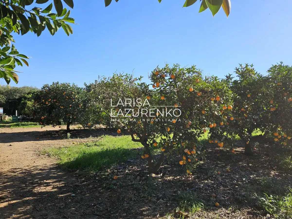 Finca rústica en venda en Vinyols i els Arcs