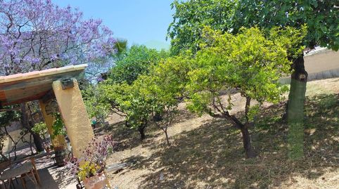 Foto 4 de Finca rústica en venta en Partida Torres Ser Norte, Platja de Torres, Villajoyosa / La Vila Joiosa
