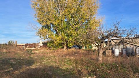 Foto 5 de Finca rústica en venda a Calle Calle Requena, Requena, Valencia