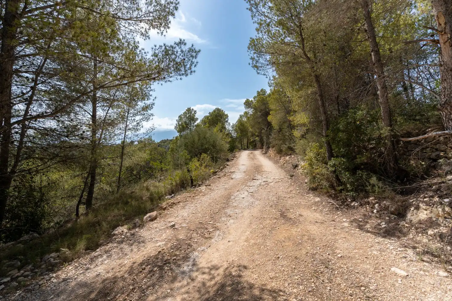 Vista exterior de Finca rústica en venta en Tortosa