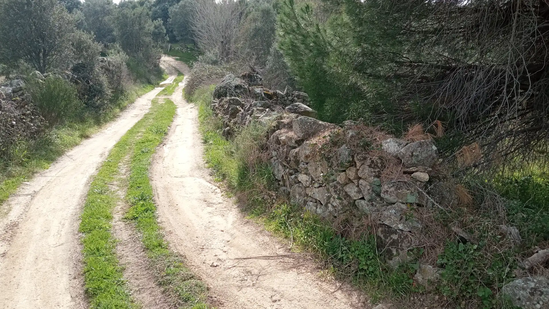 Terreni e lotti in vendita a Sotillo de la Adrada, imagen 4
