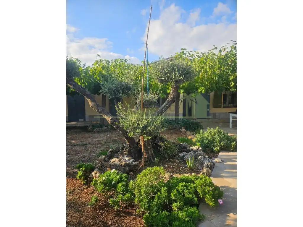 Maison rustique avec terrasse à vendre à Ulldecona, imagen 7