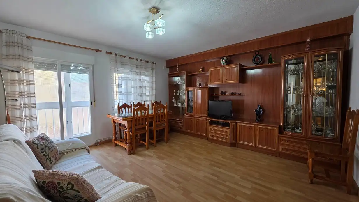 Living room of Flat for rent in Madrid  with Heating, Terrace and Furnished
