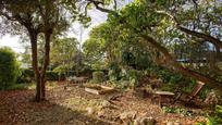 Jardí de Casa o xalet en venda en Matadepera