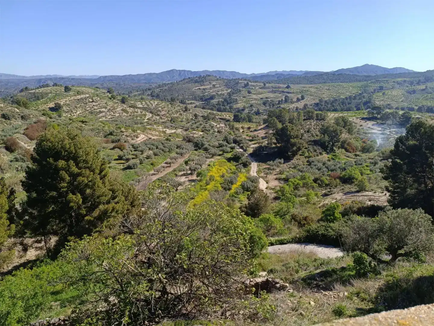 Flat for sale in Socovos