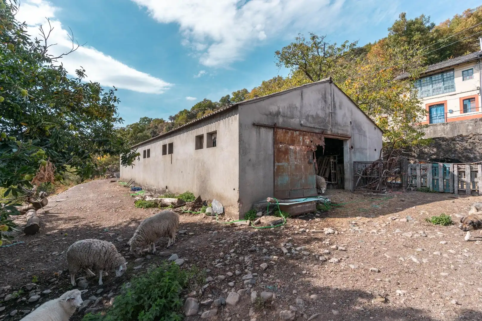 Vista exterior de Casa o chalet en venta en Palacios del Sil con Jardín privado