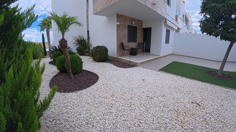 Amplio apartamento de esquina en planta baja con parcela y estudio exterior