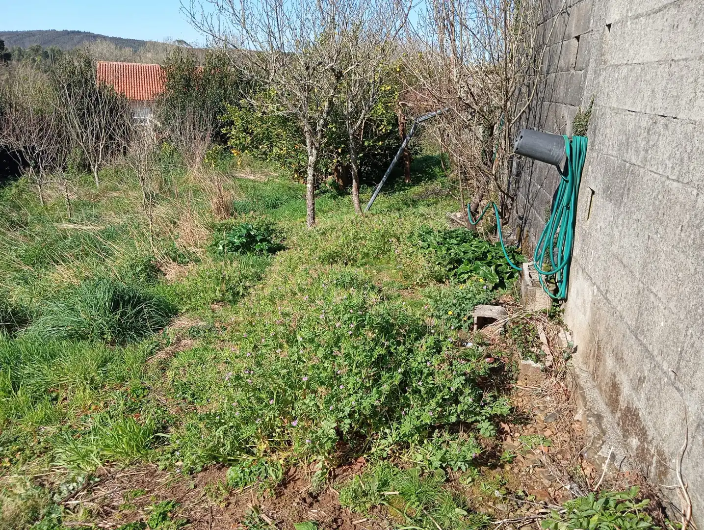 Haus zum Verkauf in Seavia 10, imagen 12