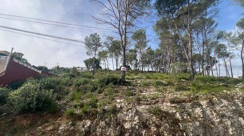 Parcela en venta en Mas Mestre, immagine 5