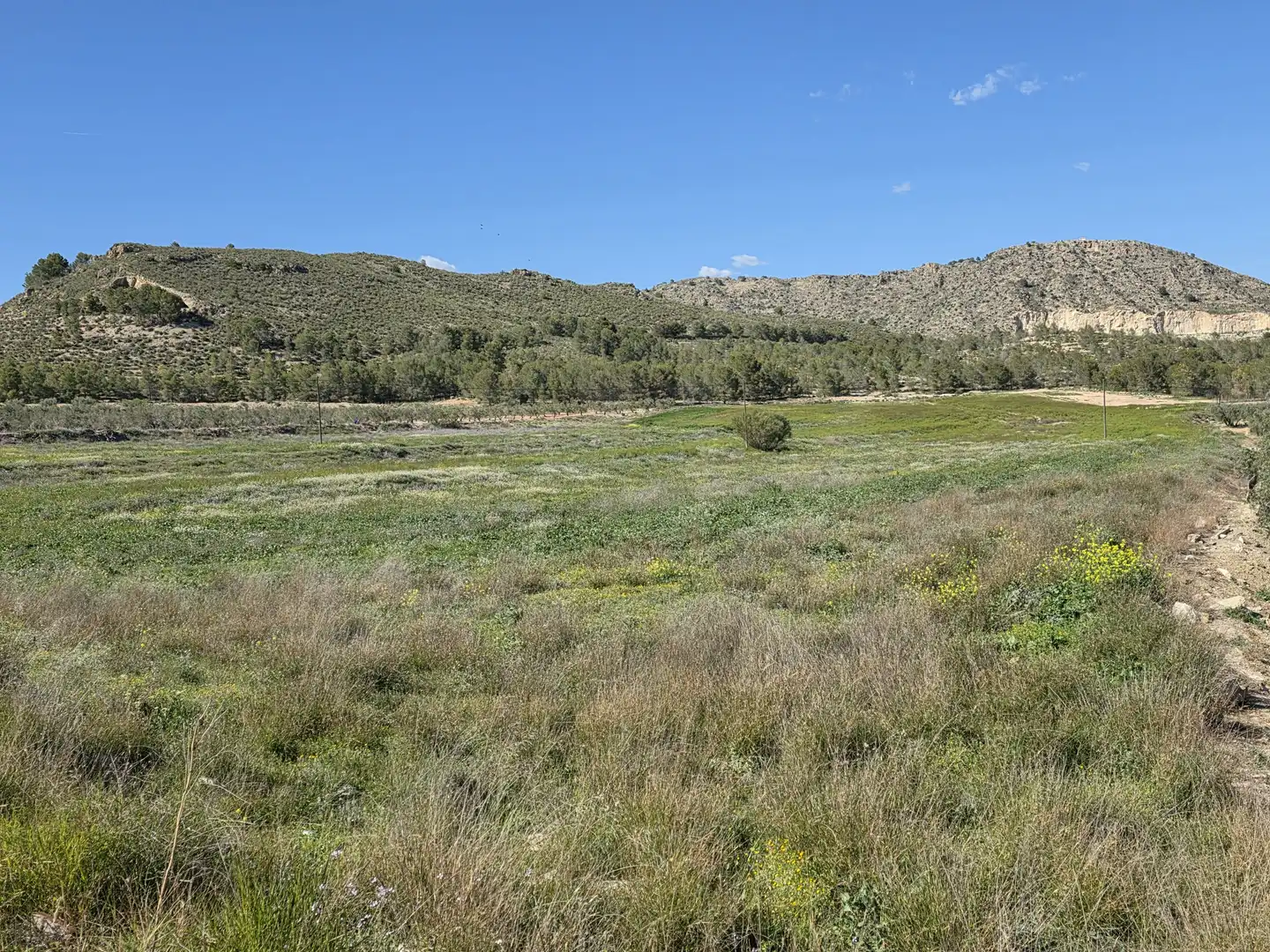 Terreny rústic en venda a Calasparra, imagen 4