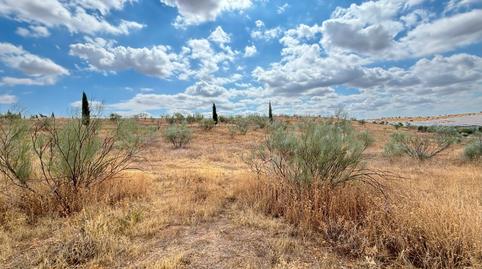 Photo 4 of Residential for sale in Buenavista - Valparaíso - La Legua, Toledo