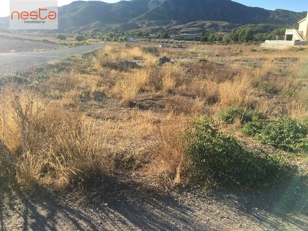 Terrenos y solares en venta en Pedanías Norte, imagen 3