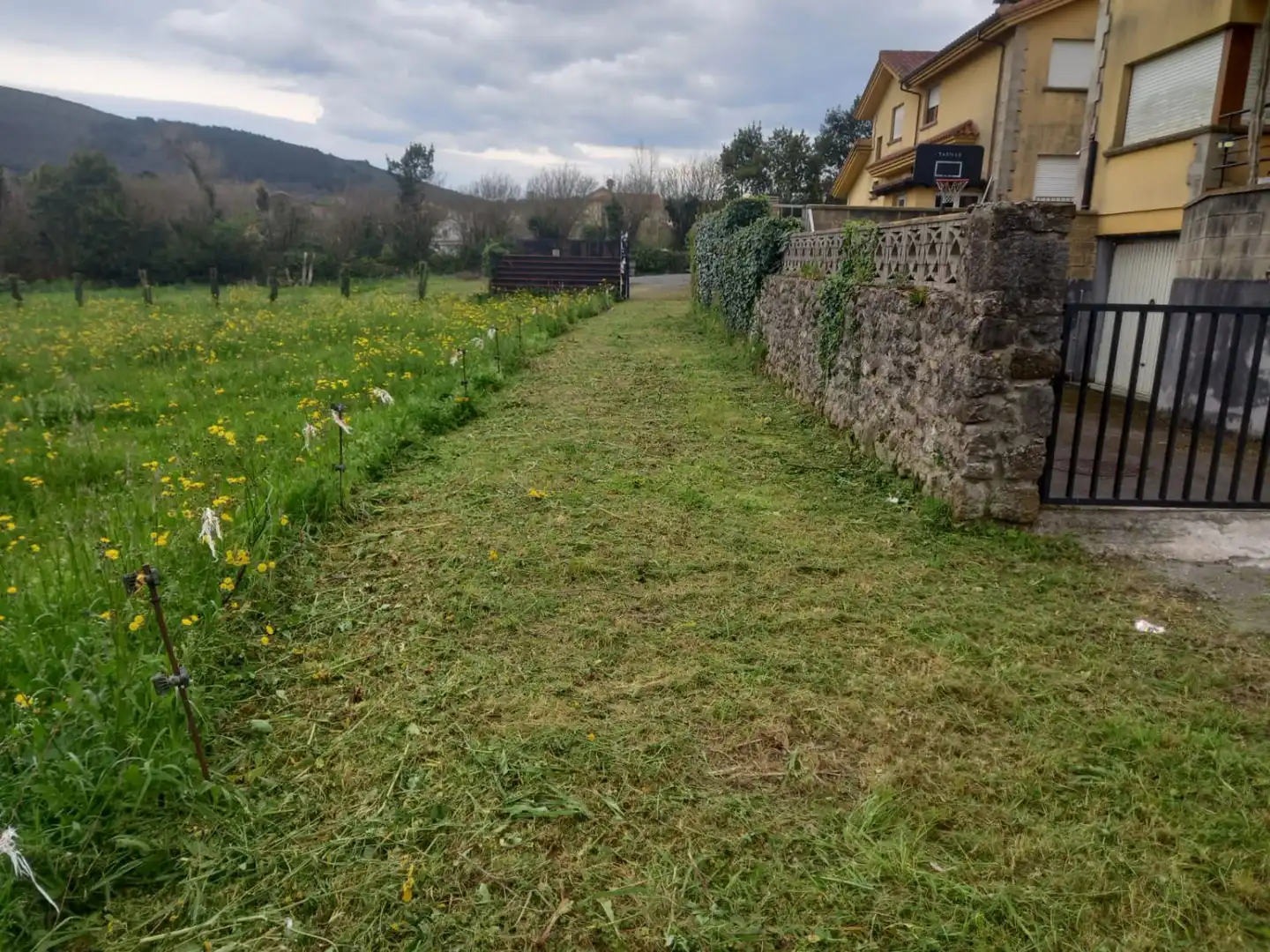 Terreni e lotti in vendita a Martires 10, imagen 3