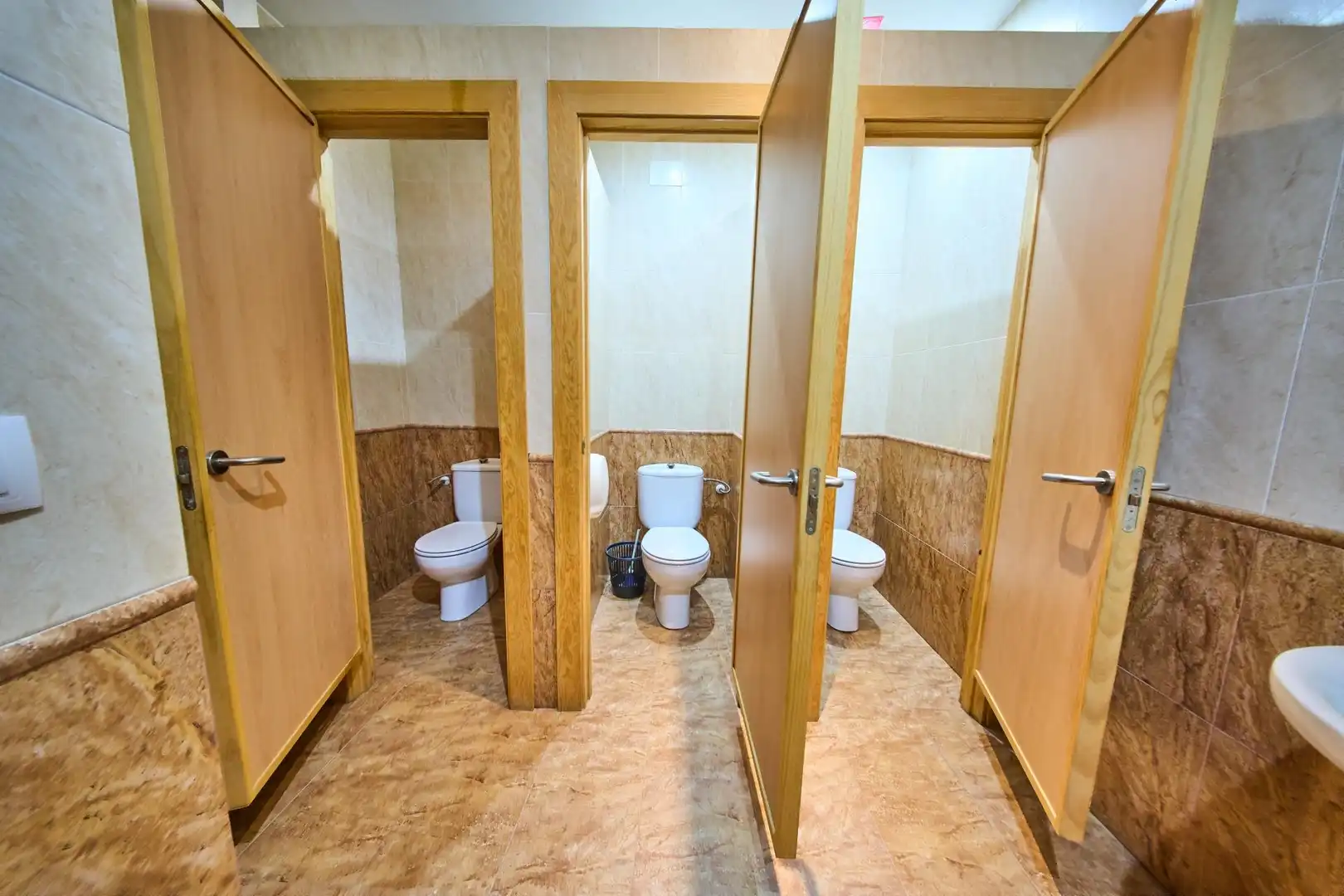 Bathroom of Commercial properties for sale in Castillo de Locubín