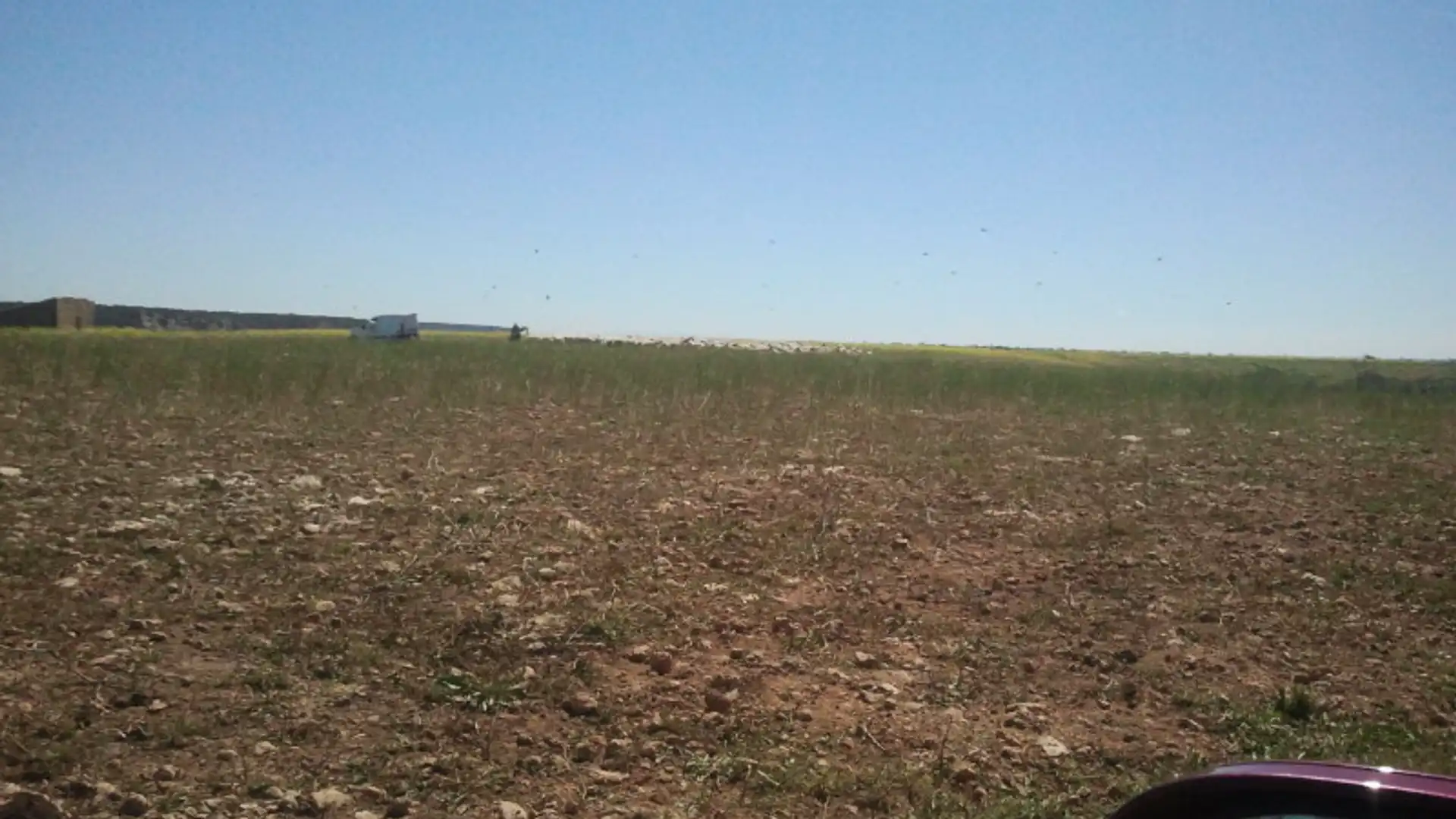 Terreno en venta en Sariñena