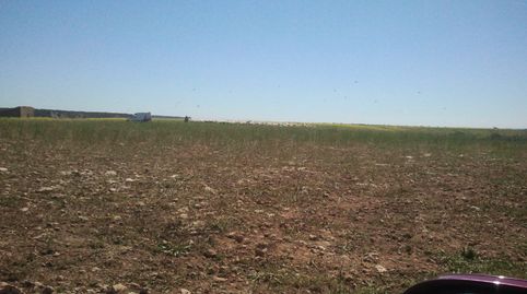 CONJUNTO DE 64H EN VENTA EN SARIÑENA-HUESCA, ARAGÓN