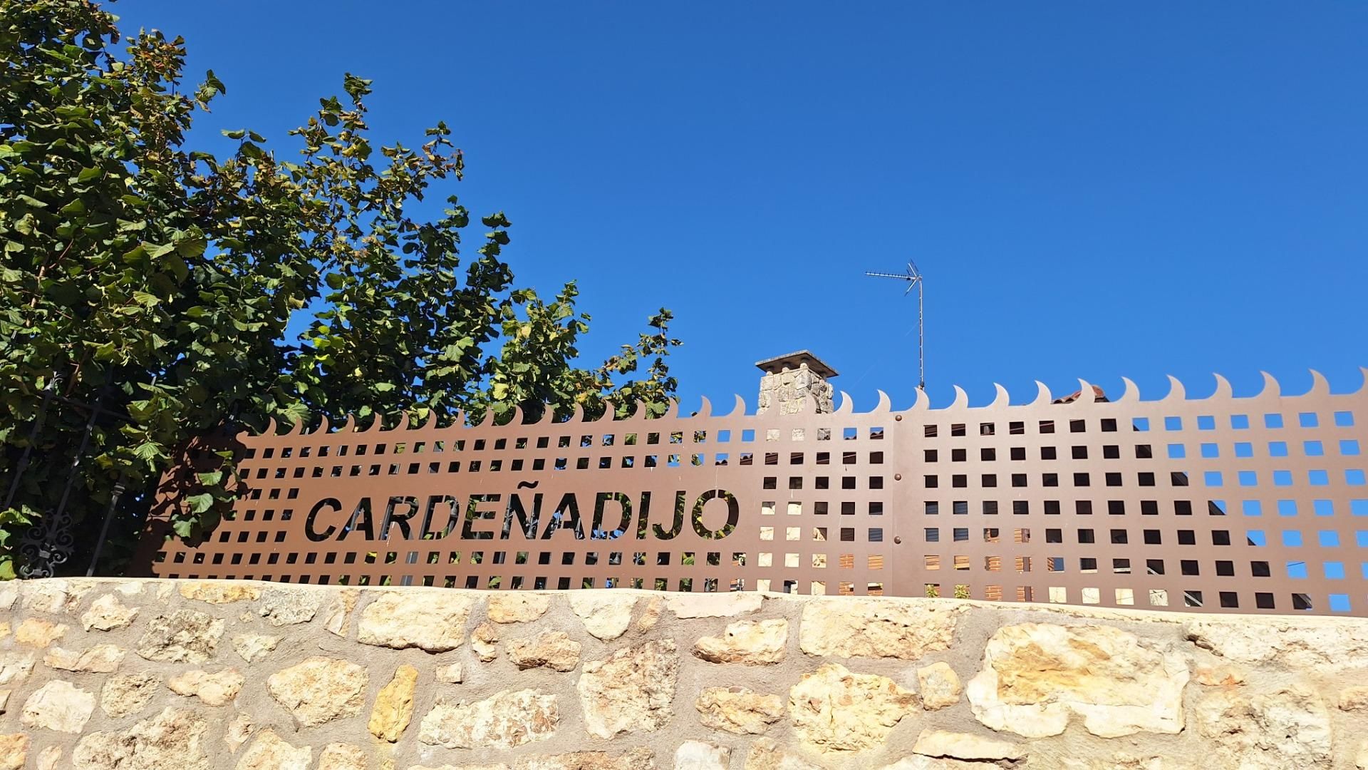 Garden of Apartment for sale in Cardeñadijo