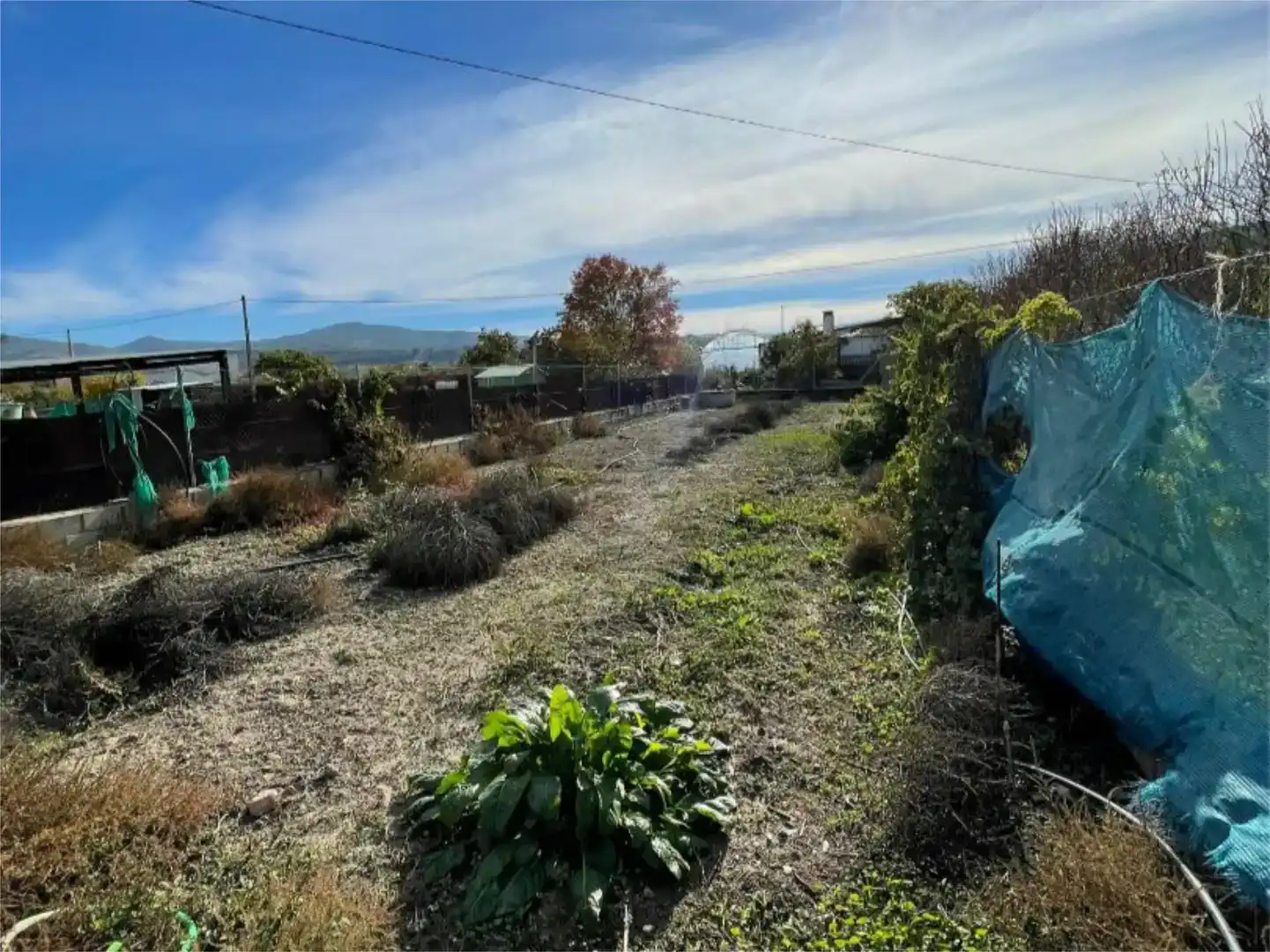 Casa o chalet en venta en Cuevas Bajas con Aire acondicionado, Jardín privado y Amueblado