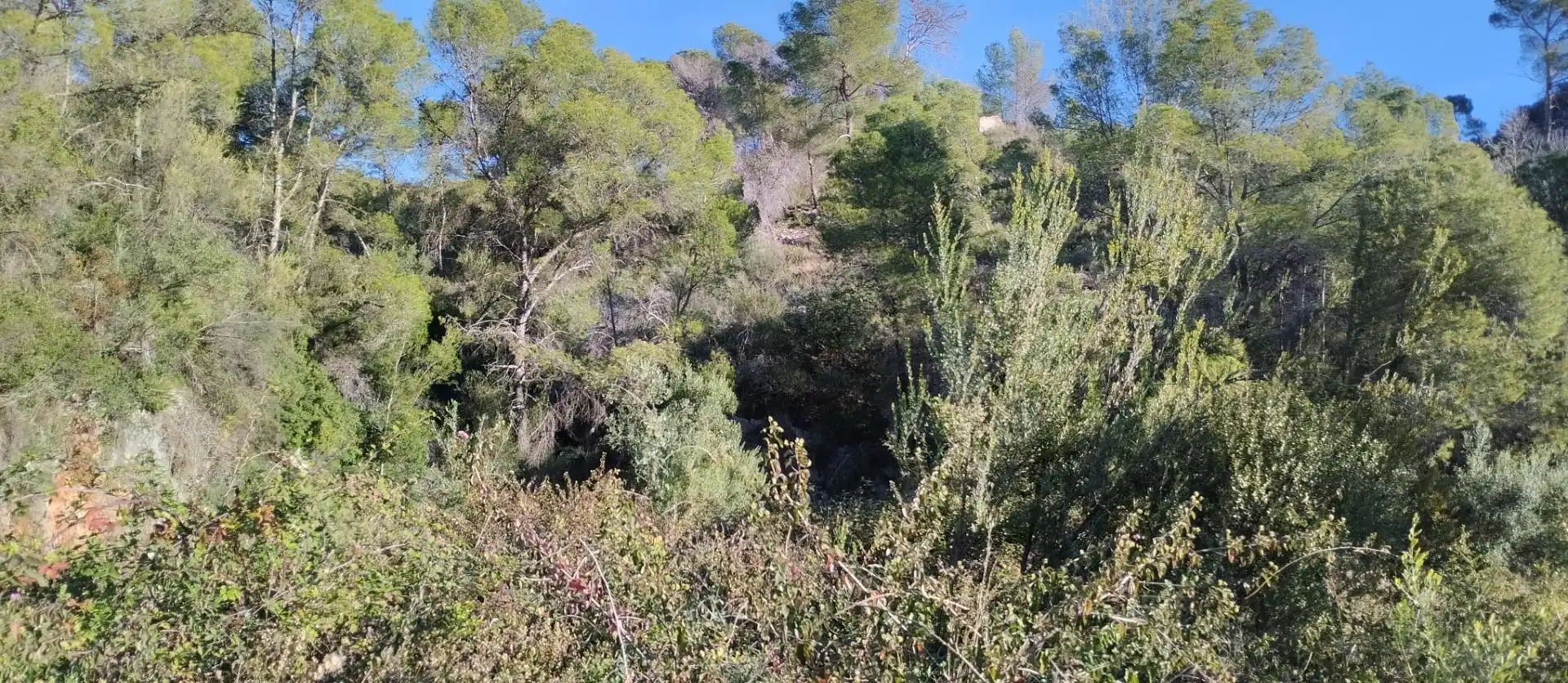 Terreny rústic en venda a L'Atzúbia, imagen 14