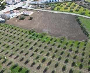 Industrial land for sale in Cuevas del Becerro