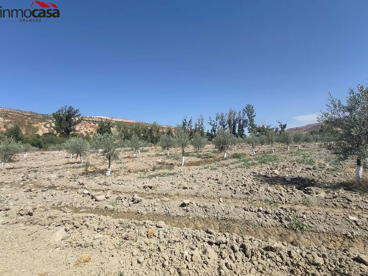 Rural land for sale in Santa Cruz del Comercio, imagen 21
