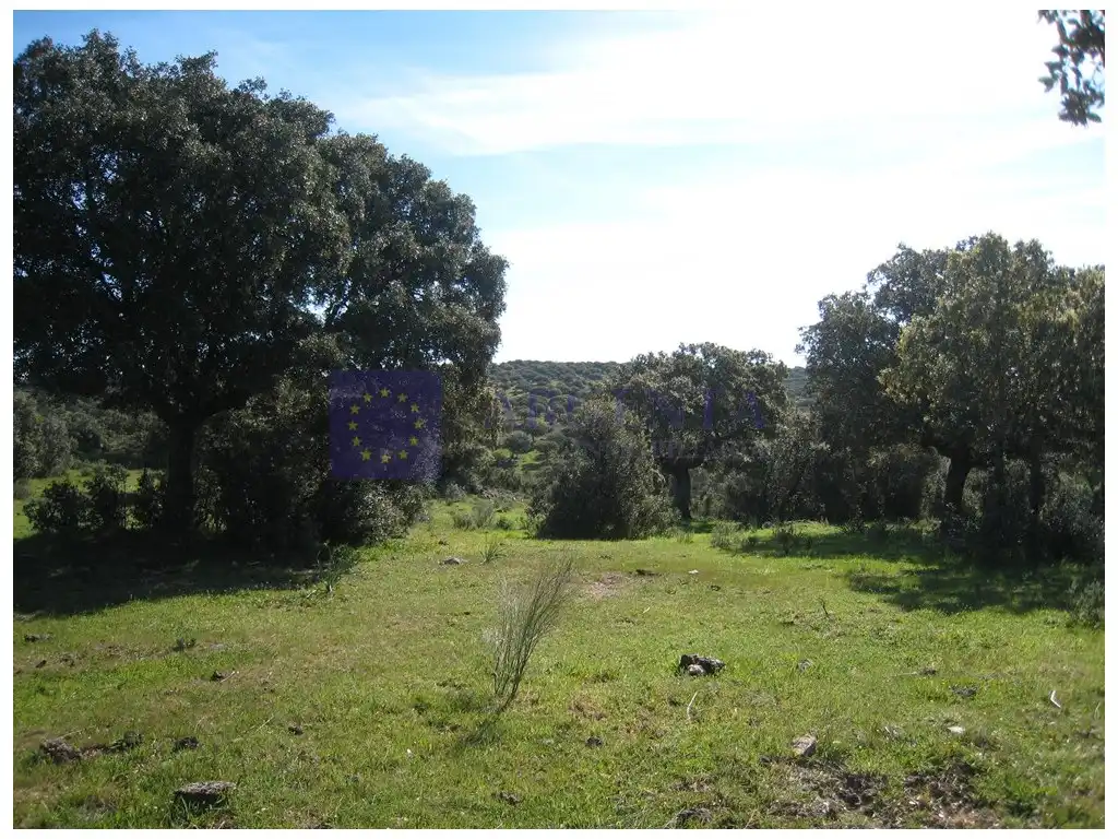Maison à vendre à Valdesalor - Rincón de Ballesteros