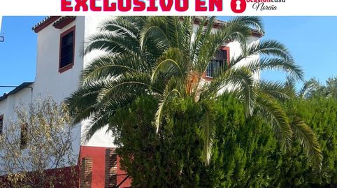 Finca de 7 Fanegas de olivar marteño en Espejo: Un Refugio Rural Único