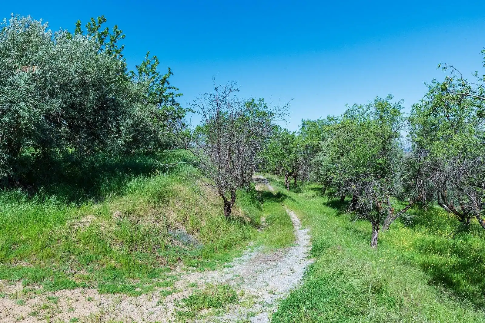 Country house zum Verkauf in Pinos Genil