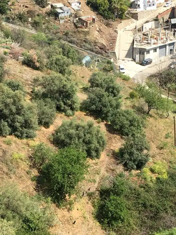 Wohnbaugrundstück zum Verkauf in Paraje 37 Calvario, imagen 3
