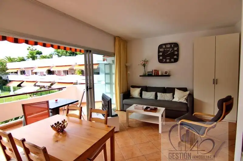 Living room of Apartments for rent in Puerto de la Cruz  with Parquet flooring, Terrace and Furnished